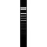 FastDigest AcuI FastDigest AcuI